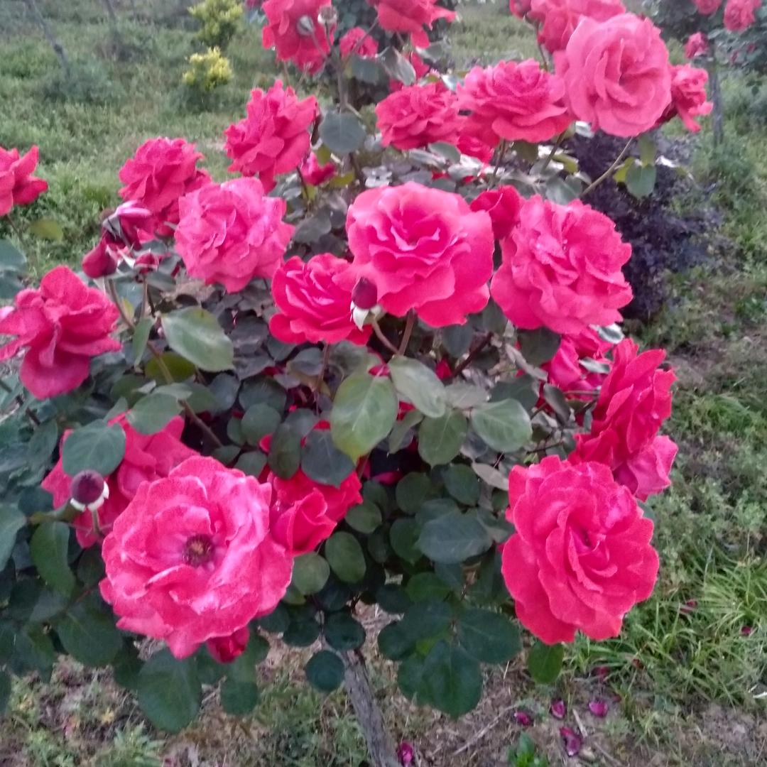 ‍-—🌿改变未来‍-—🌿