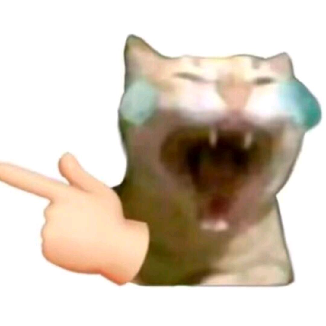 摸摸鱼.