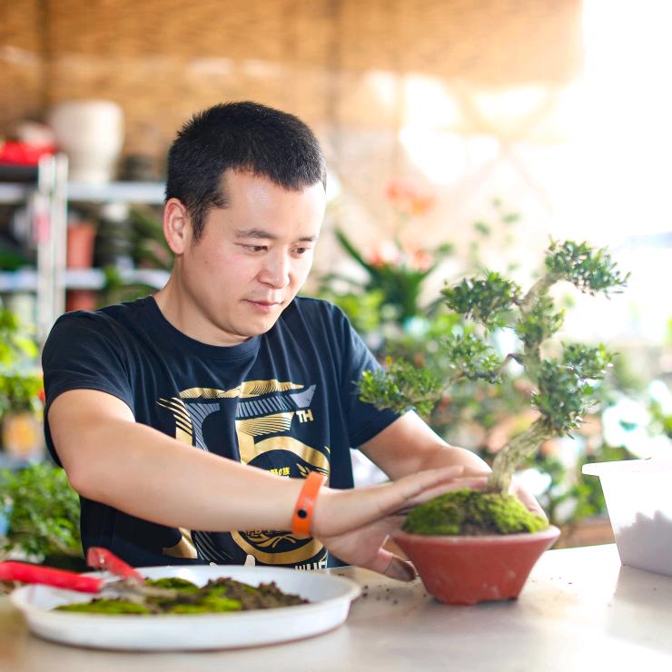 园林向哥-绿博苗木