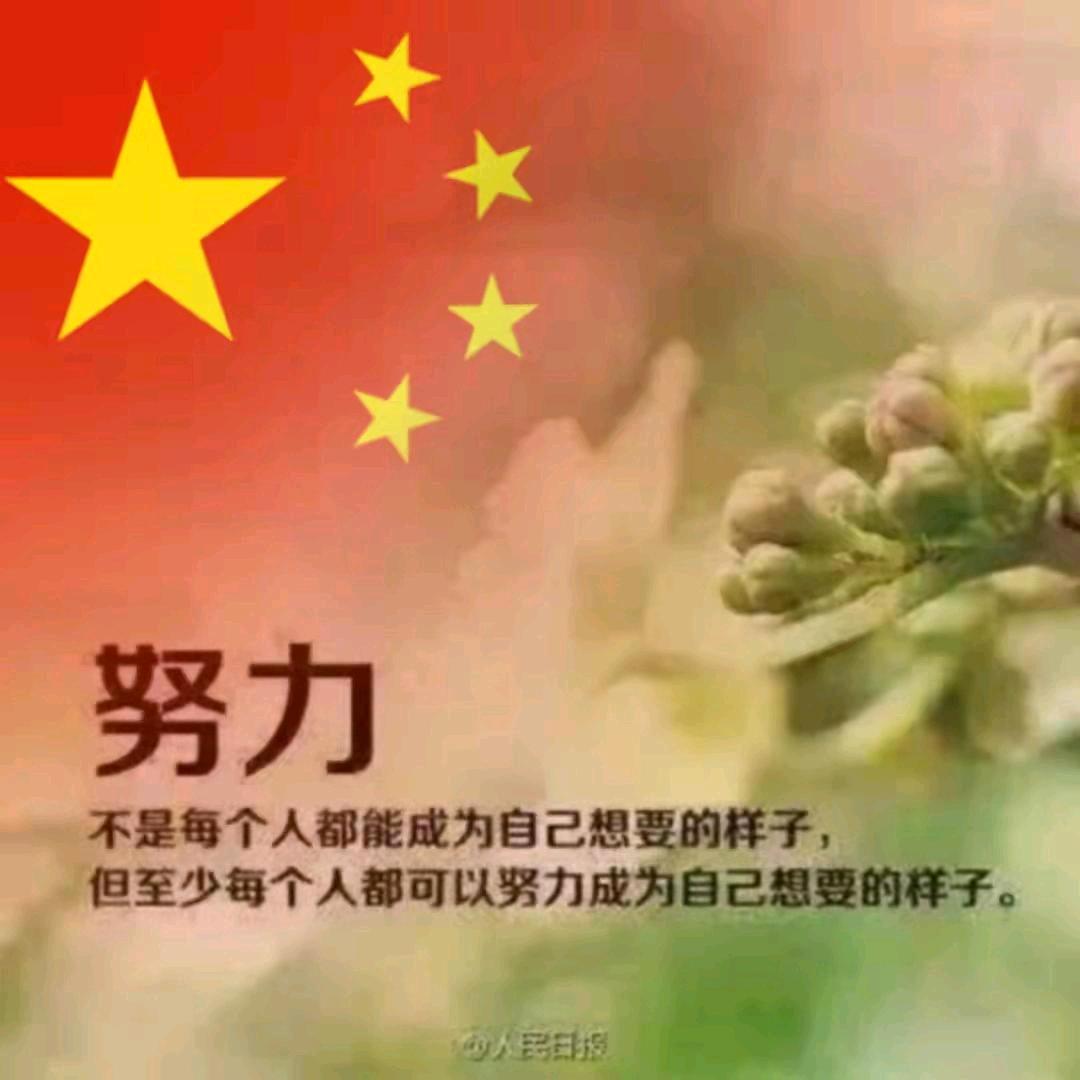 诚晨
