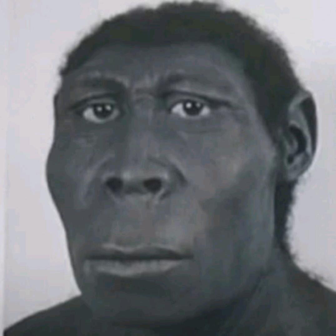 牛油果🥑（三角洲机行动）