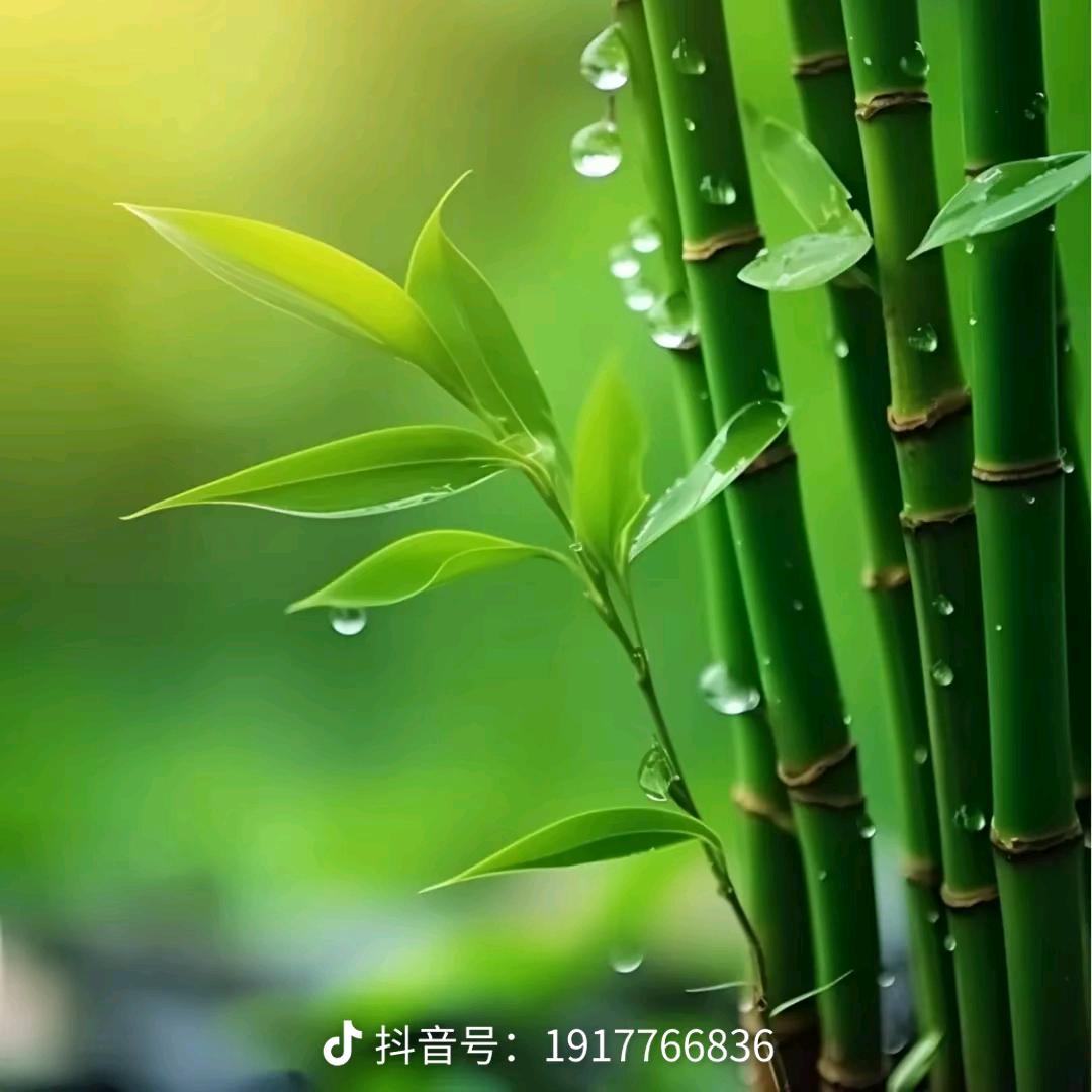 耀眼的微笑