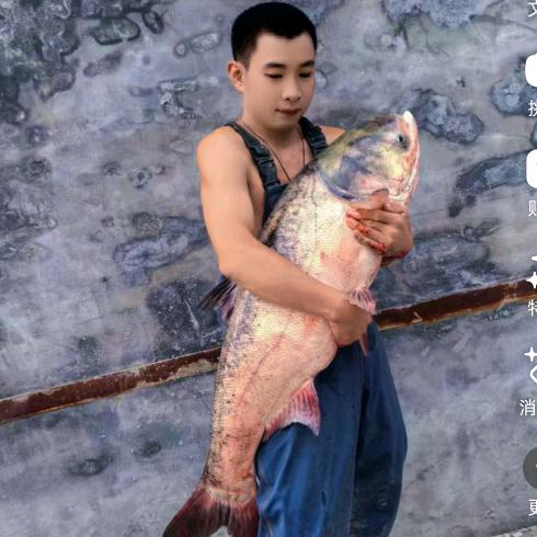 5529漁九九