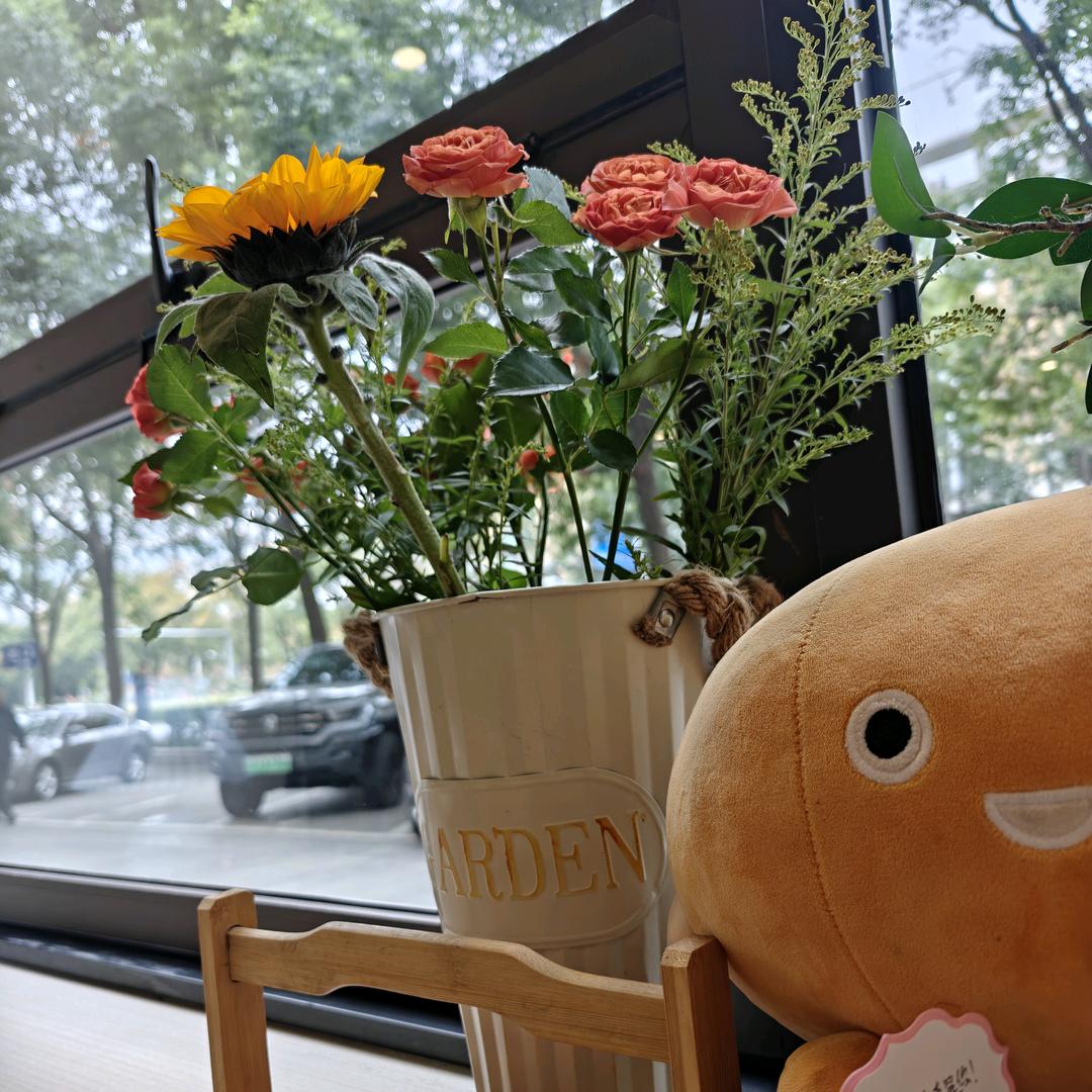 逝去的……