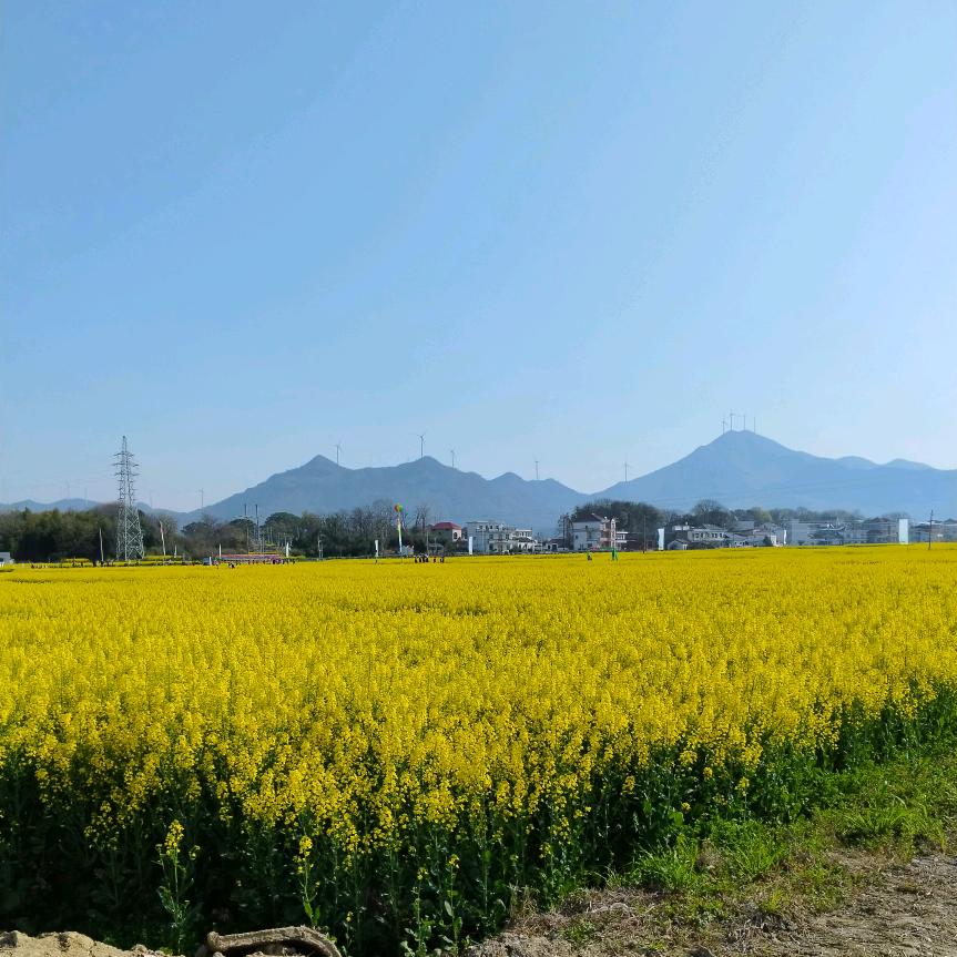 鑫