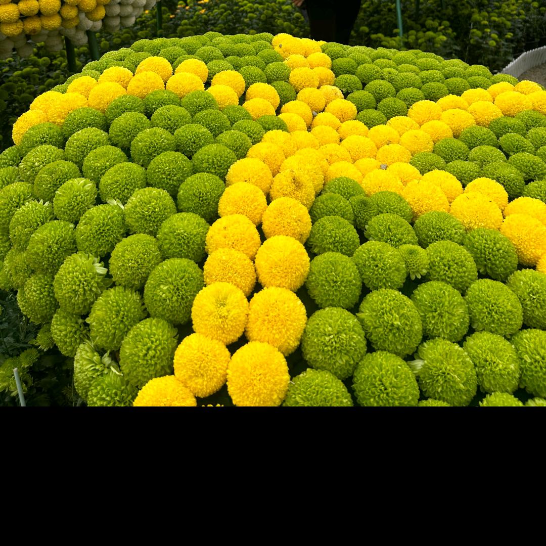 仁寿买房卖房找徐姐帮忙