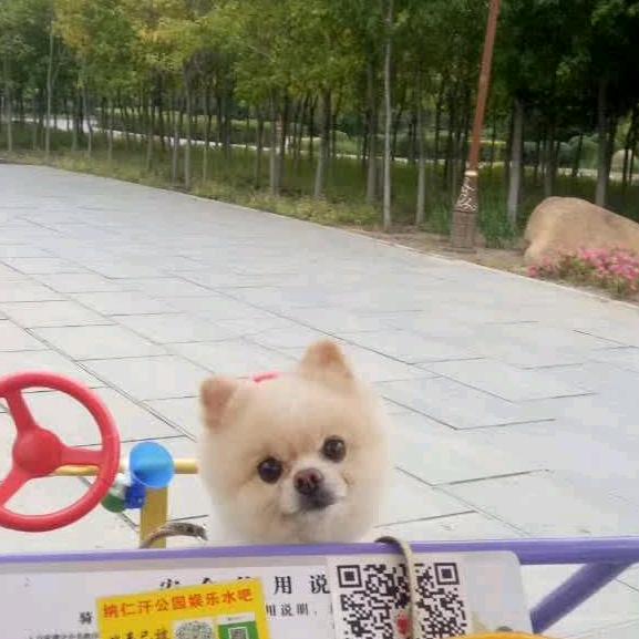 张胖子🏸