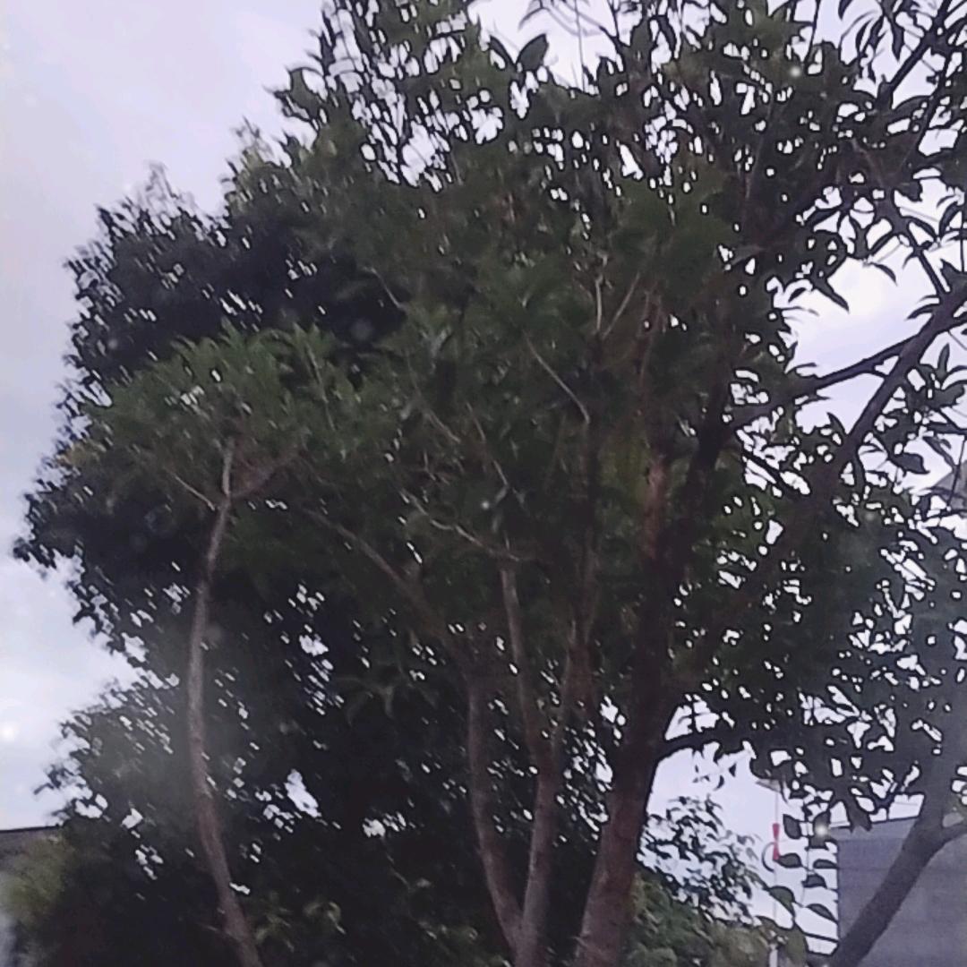童年的回忆