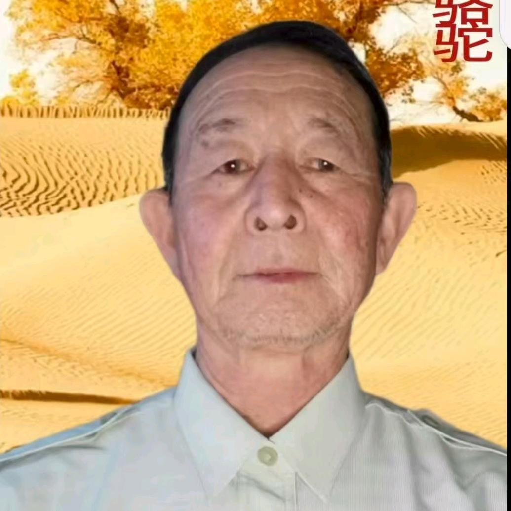 沙漠骆驼