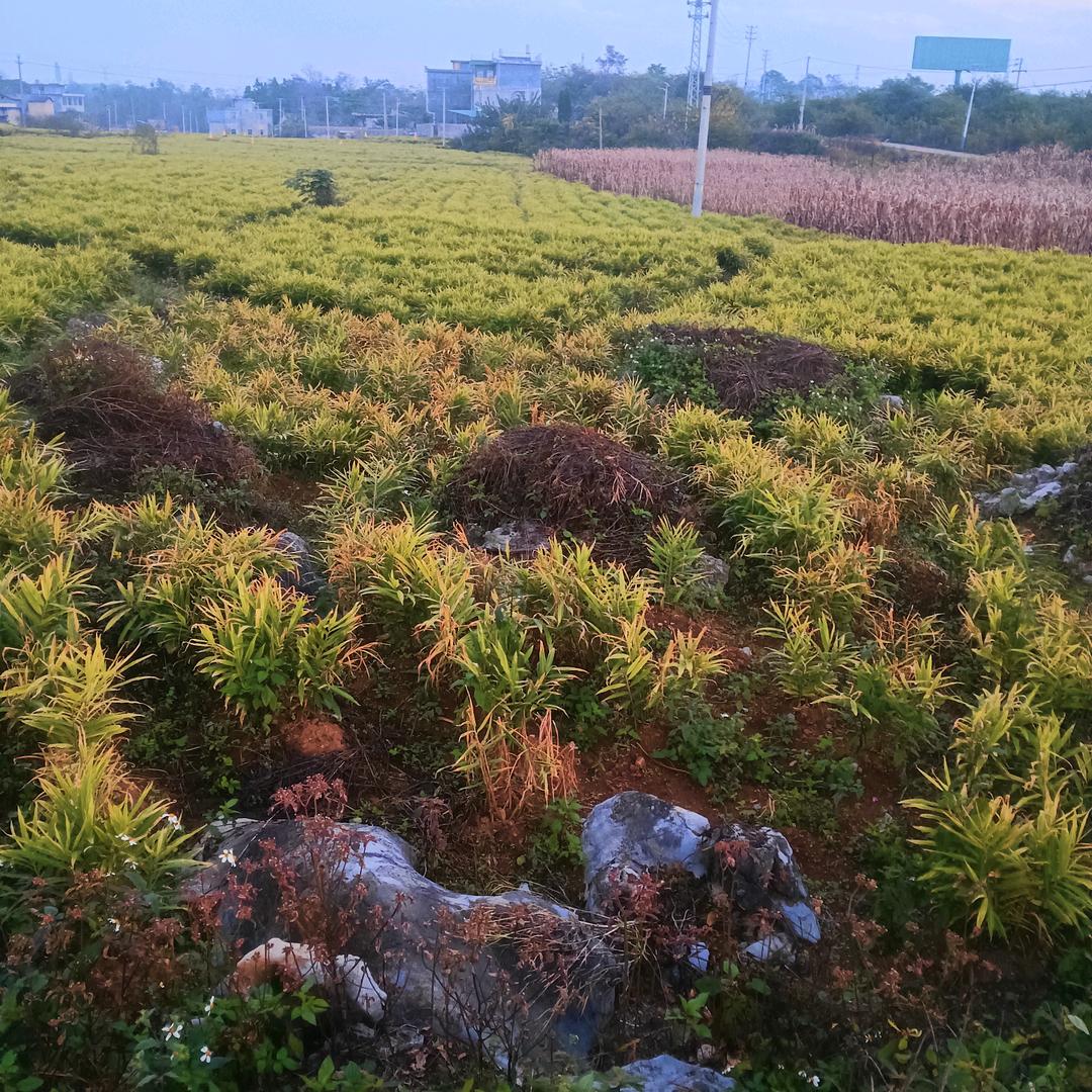 用户97942805欧49584