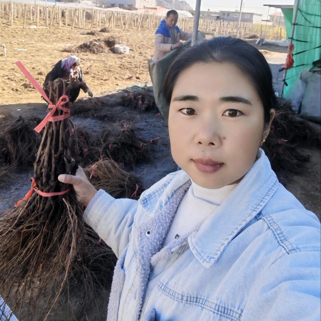 精选苗木专营店