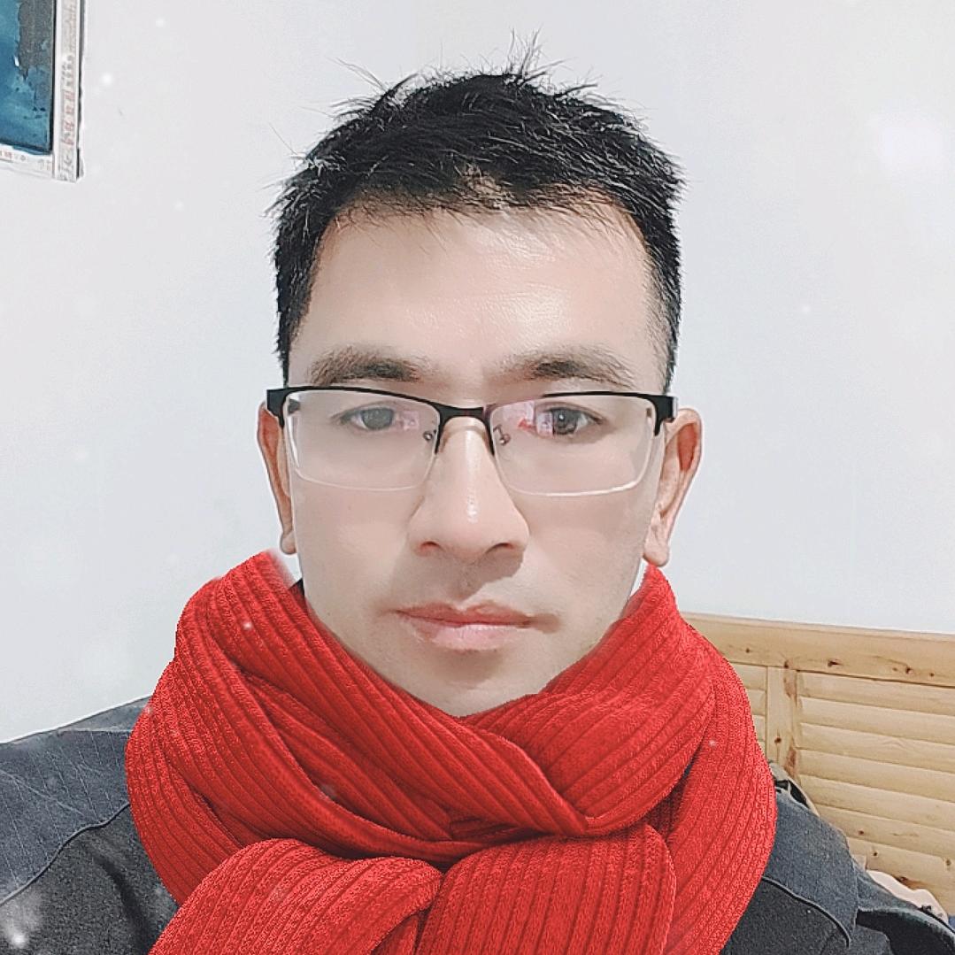 王子鸽