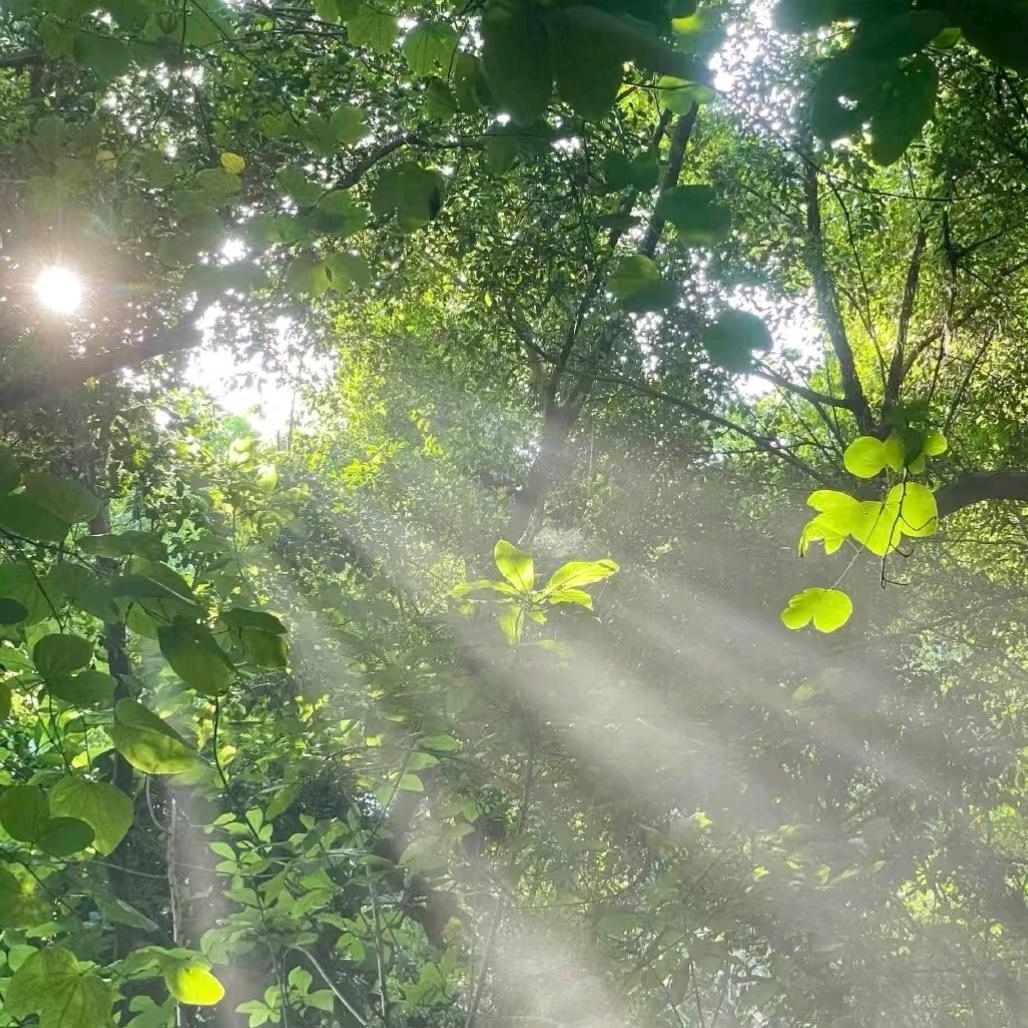 民康口腔 🦷蓝色梦幻（不私聊）
