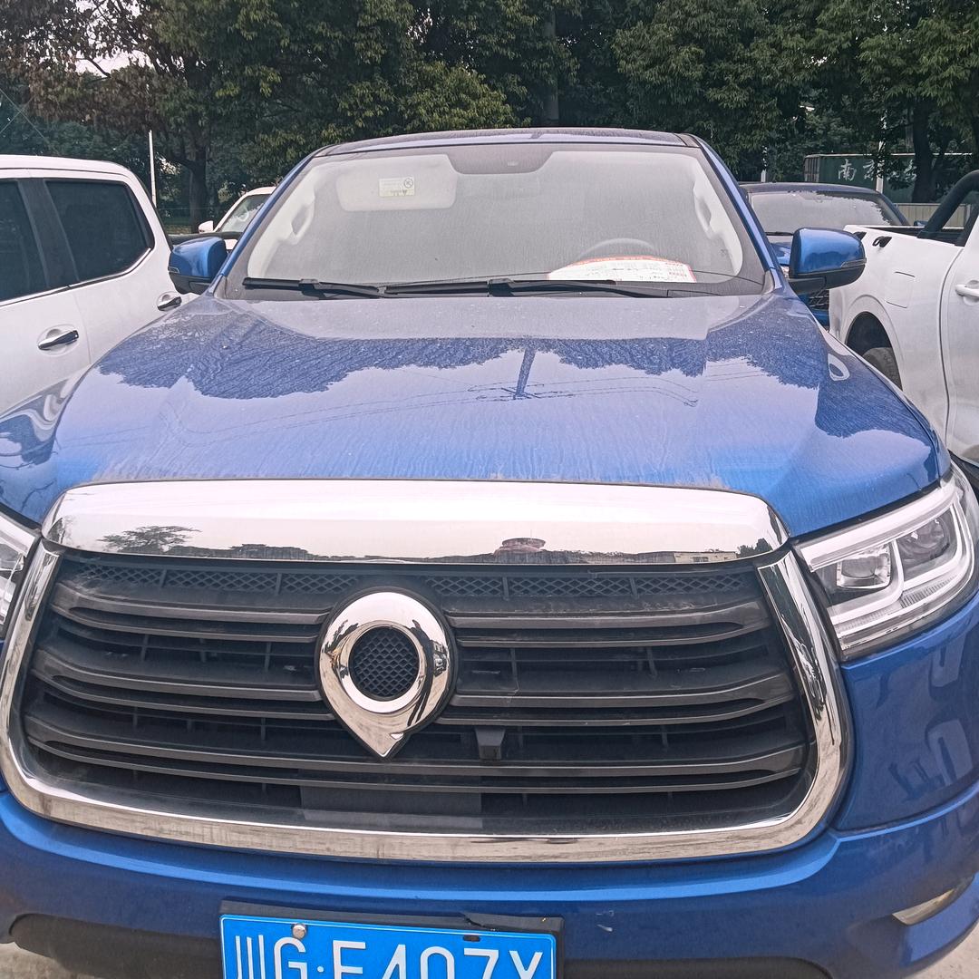 西南皮卡王陈陈