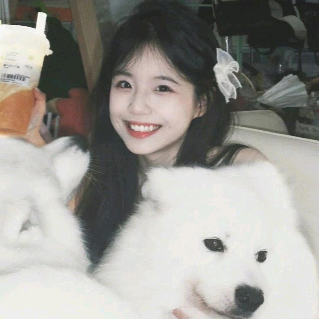 又菜又爱玩