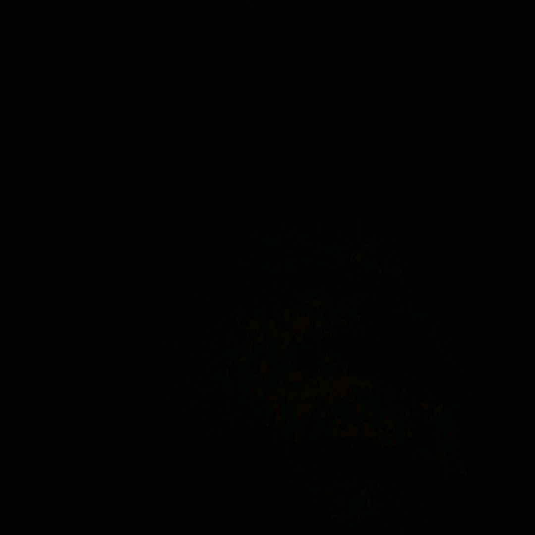 用户168