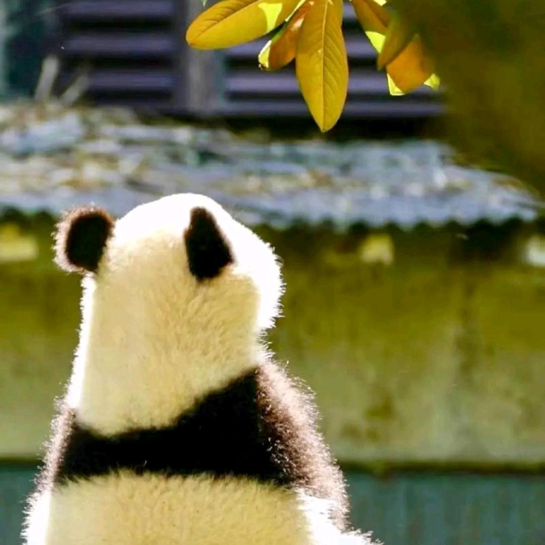 点一支烟