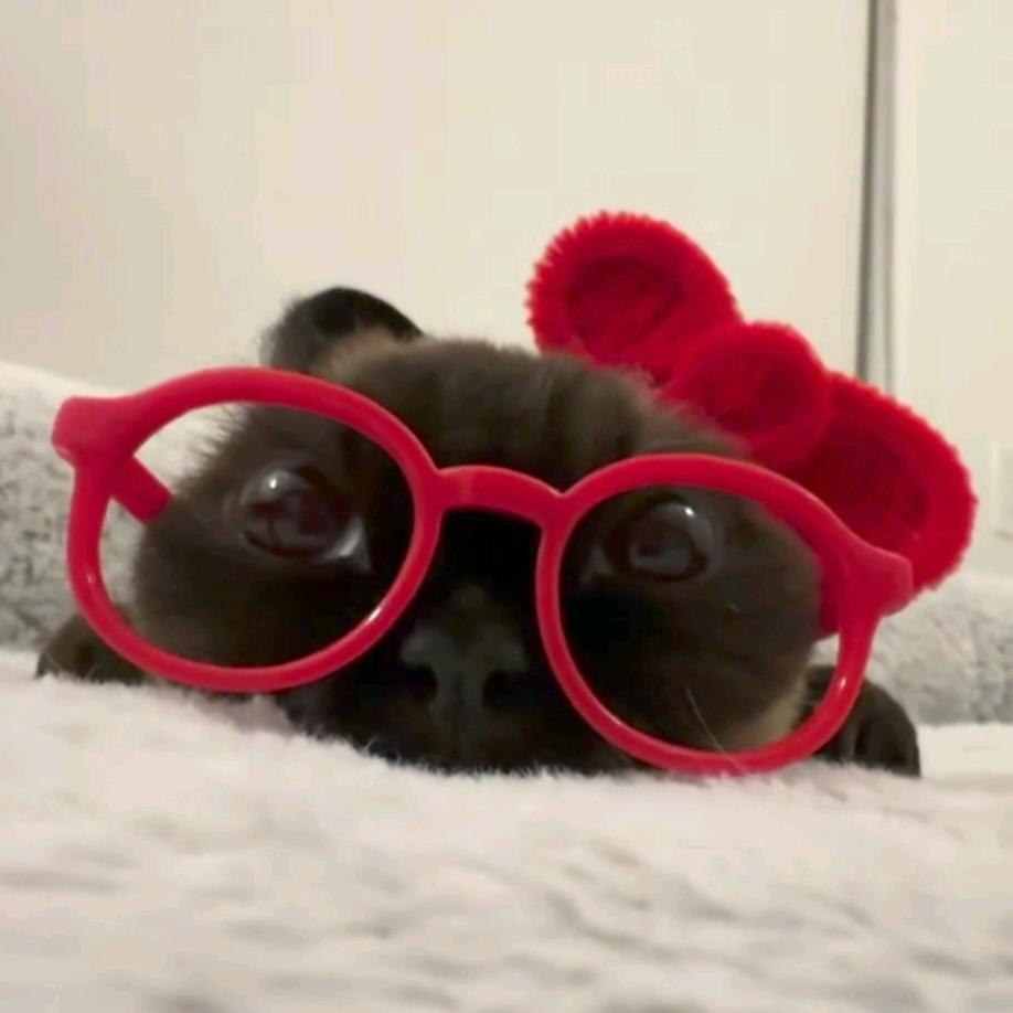 冷漠有洁癖的少爷对挑着粪担的我一见钟情