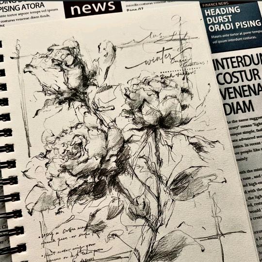 ✮𝓚𝓮𝔁𝓲𝓷𝓐𝓷𝓷✨