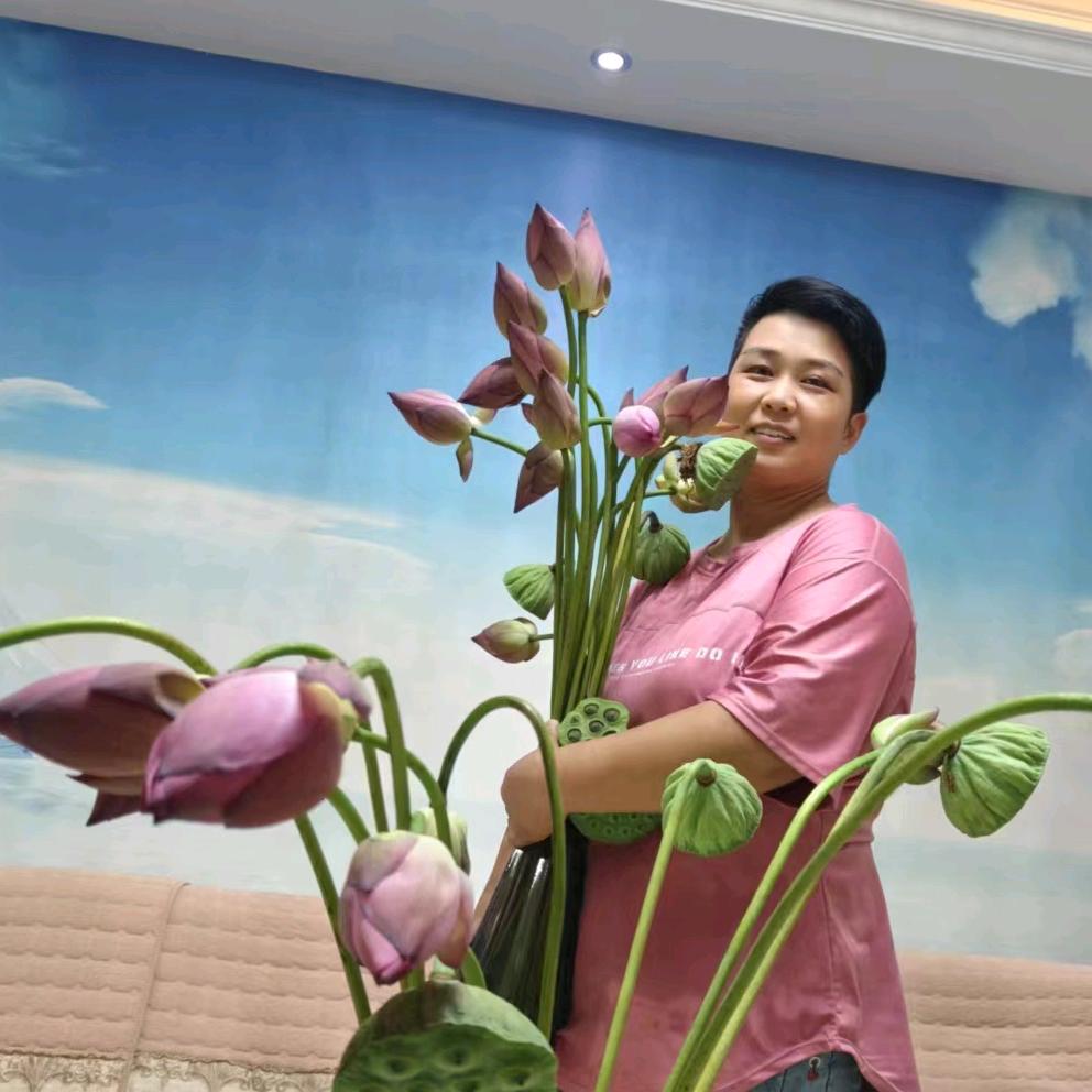 本草纲目中药材