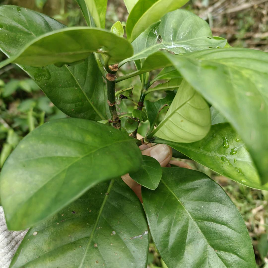 山清水秀拒绝私聊