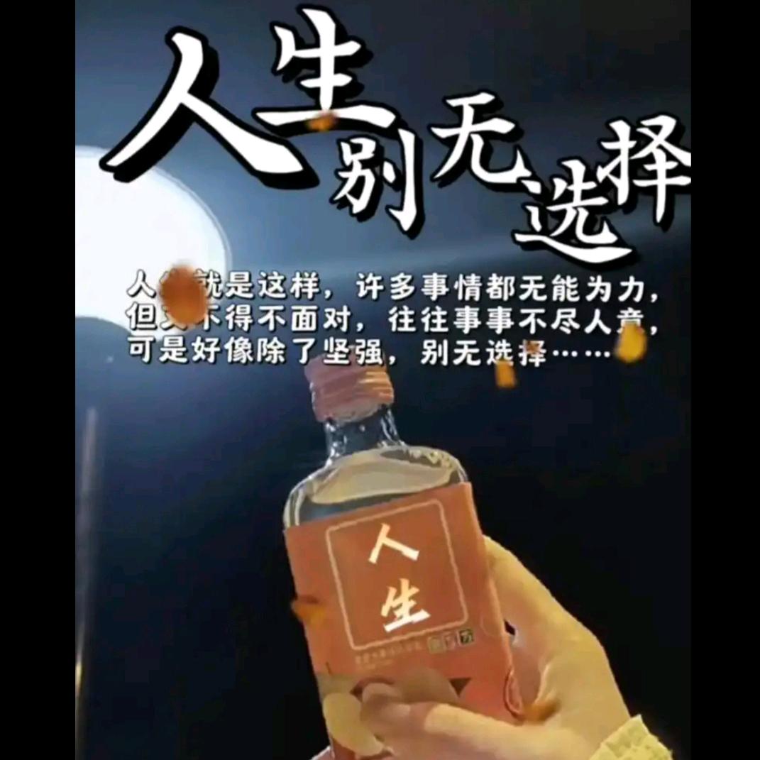 孤独的蚊子（杜）
