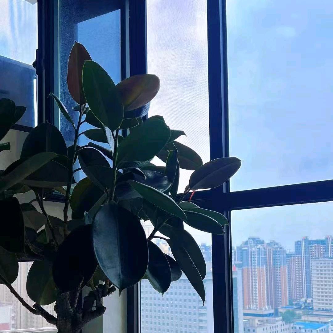 温文尔雅