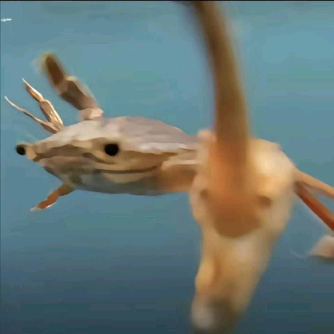 ദ്ദി˶>ω<)✧
