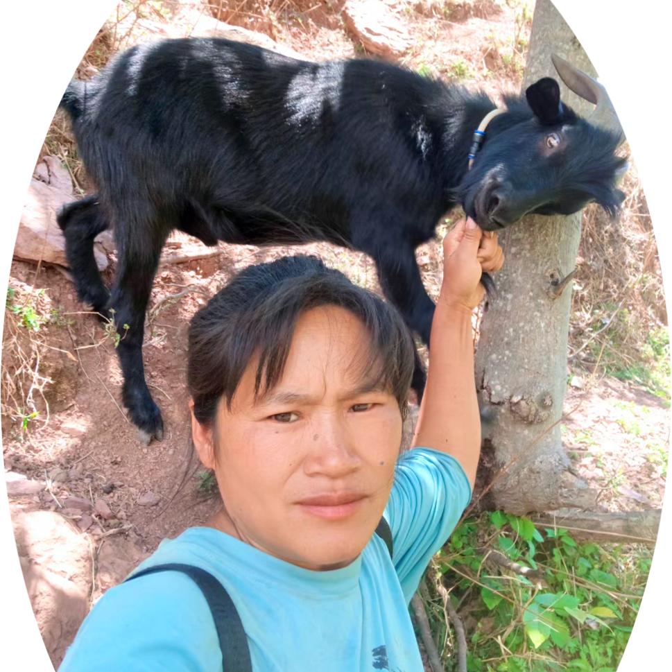 放羊小孃孃