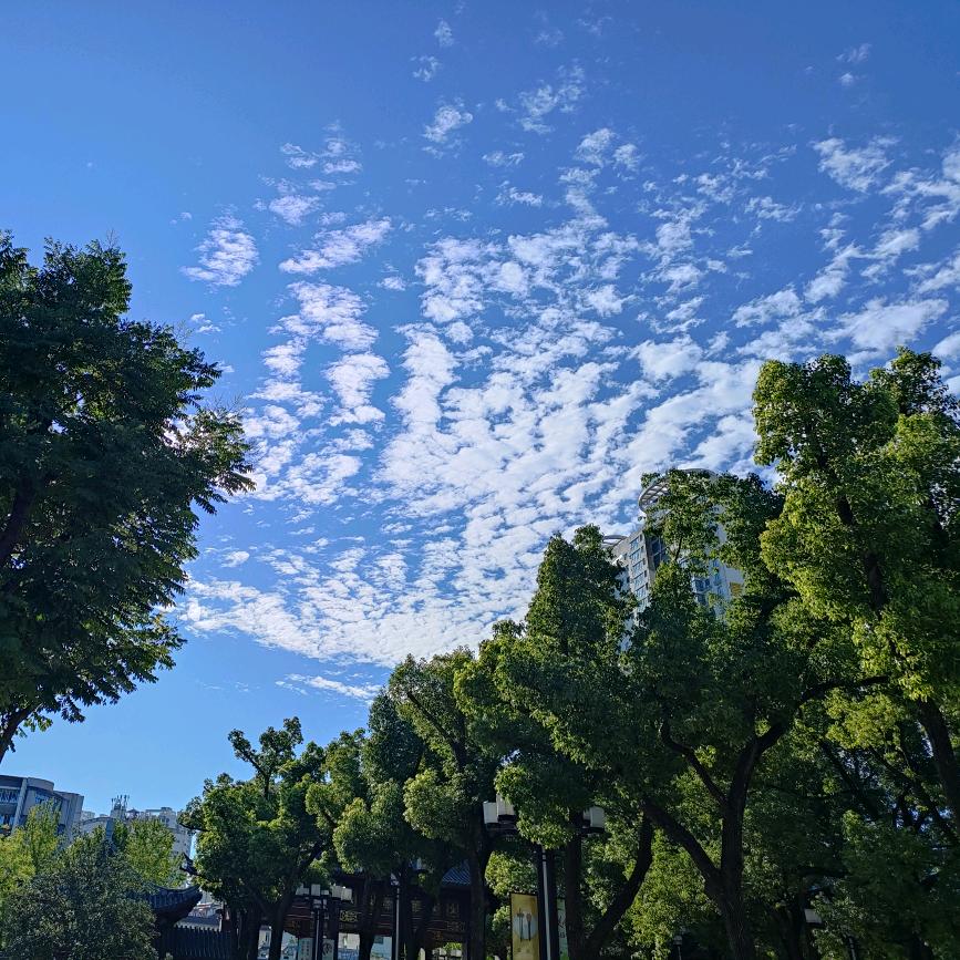 顺其自然。