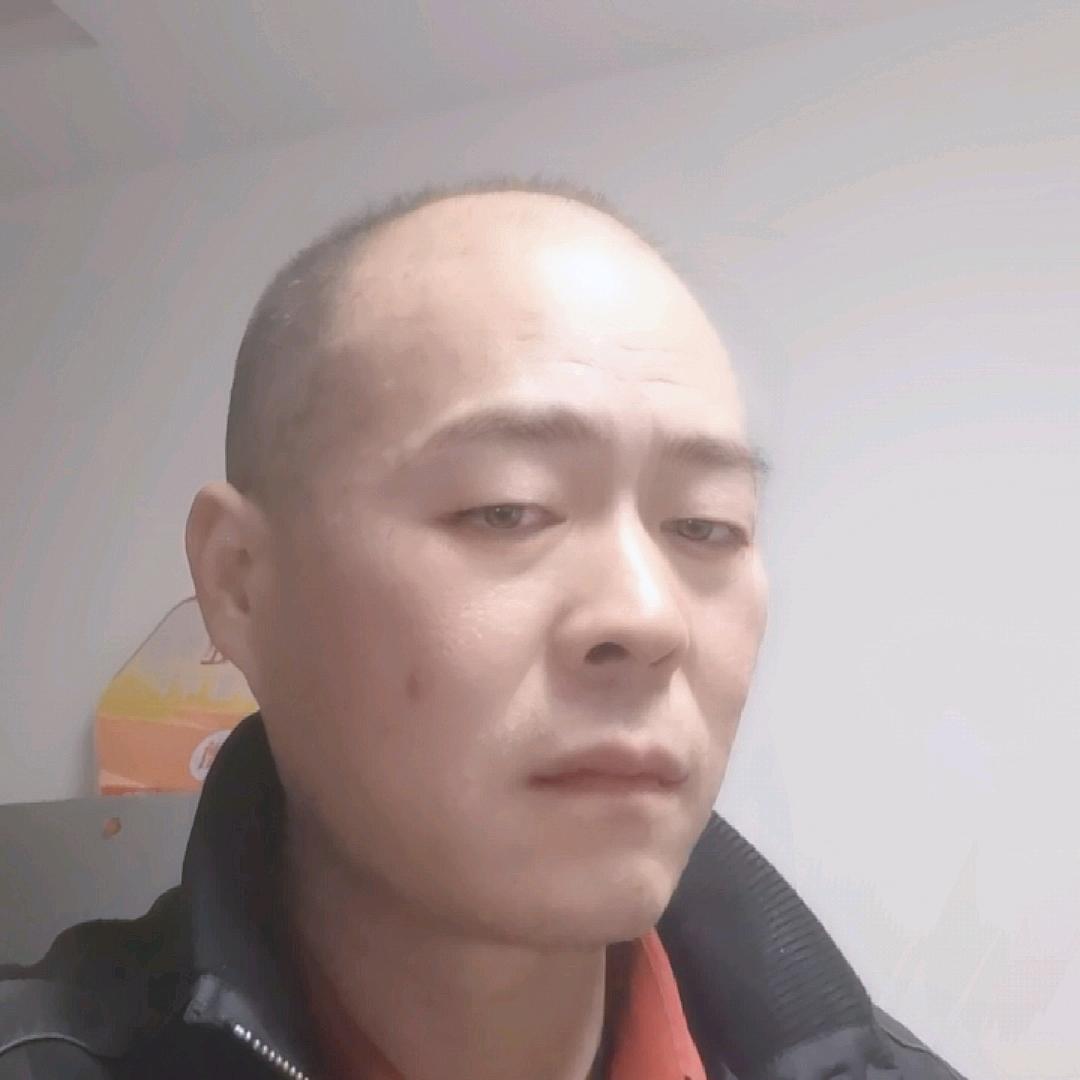 金虎