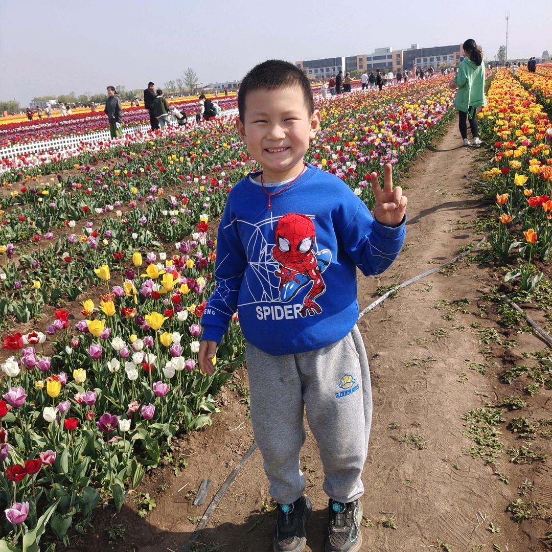 仍然自由自我