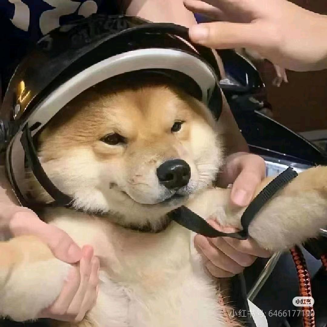 @王十贰