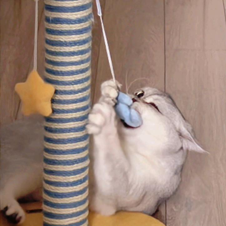 SevenUp ୧⍤⃝🥖