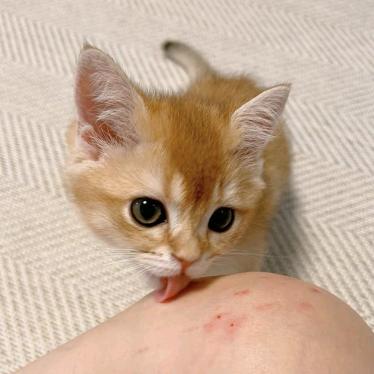 yummy^^