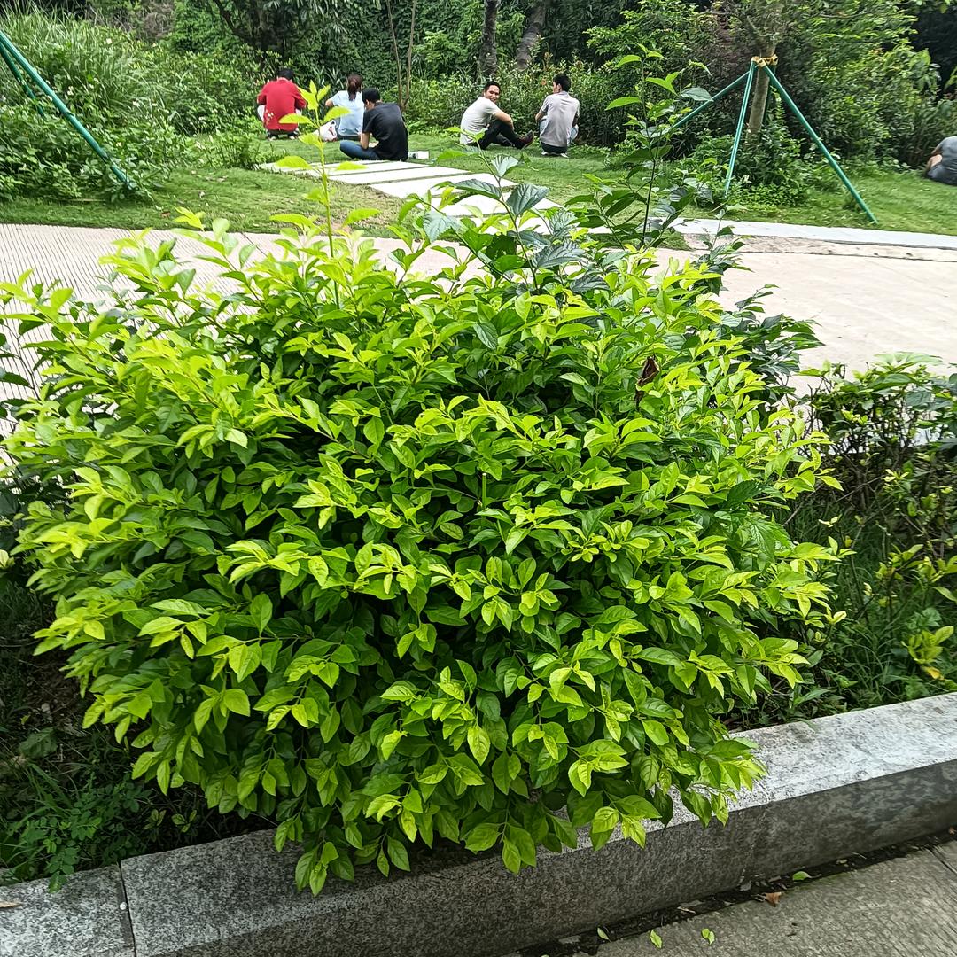 用户1355917176361