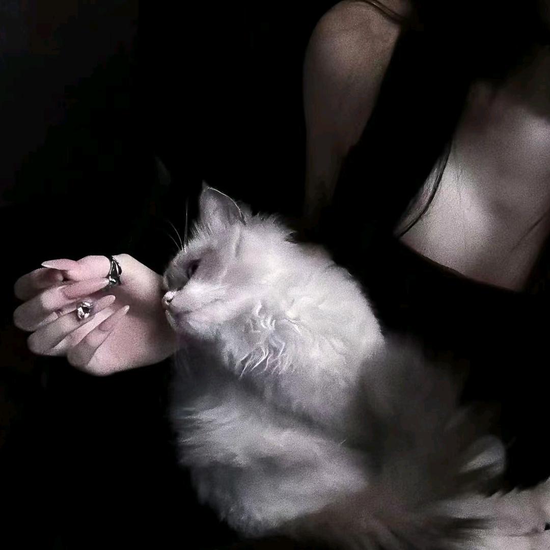 财の狐🧸.