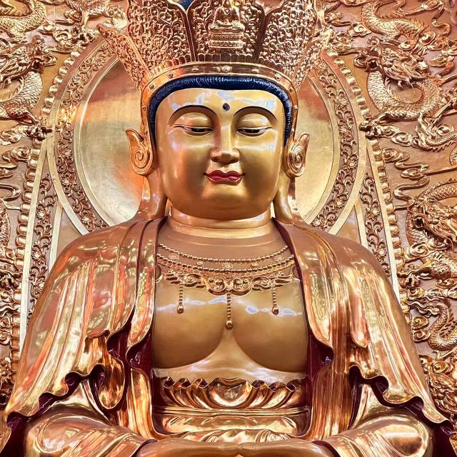 紫金高赵