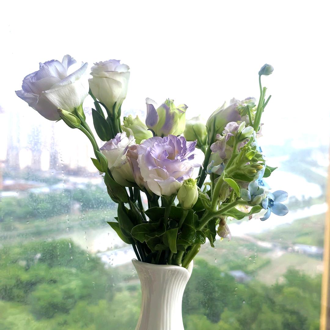 小小