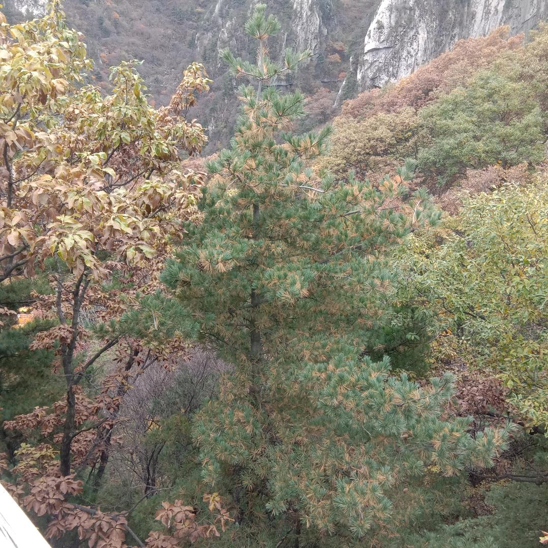 专业