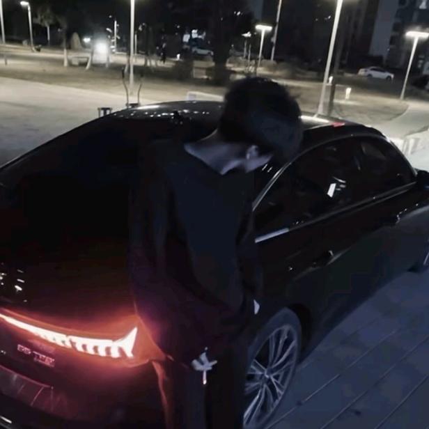 被风迷了眼