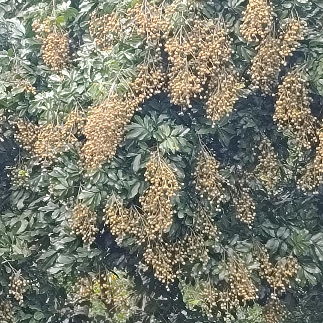 亏欠一生