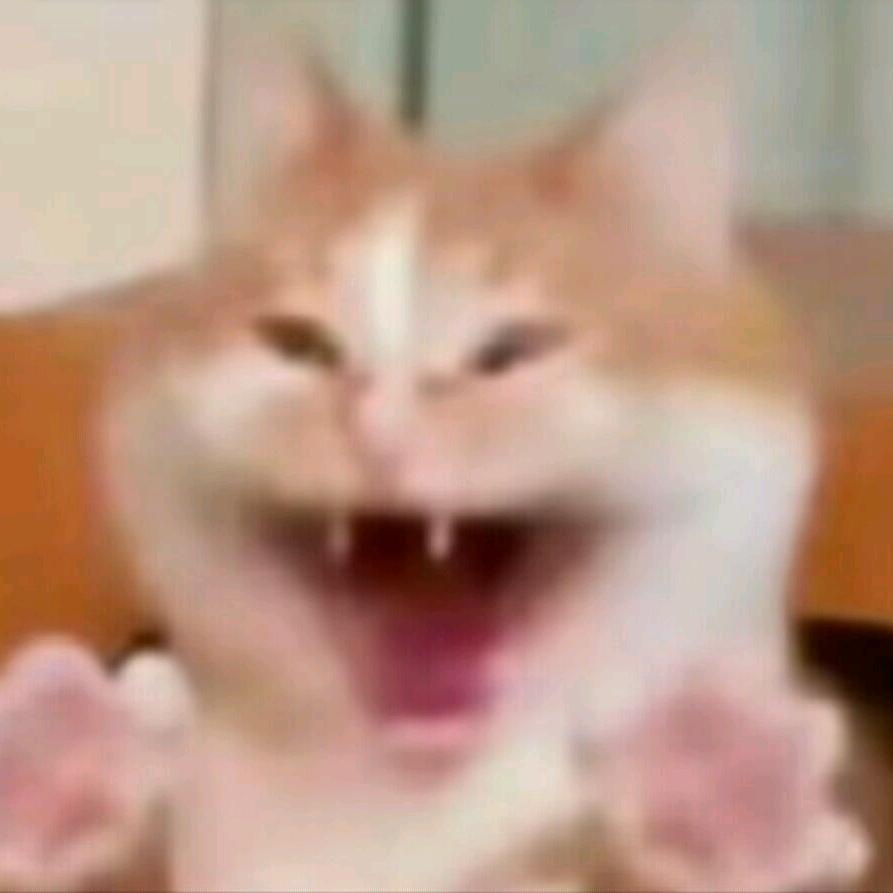 𝕏𝕚𝕒𝕠𝕏𝕦（要换ADV版）