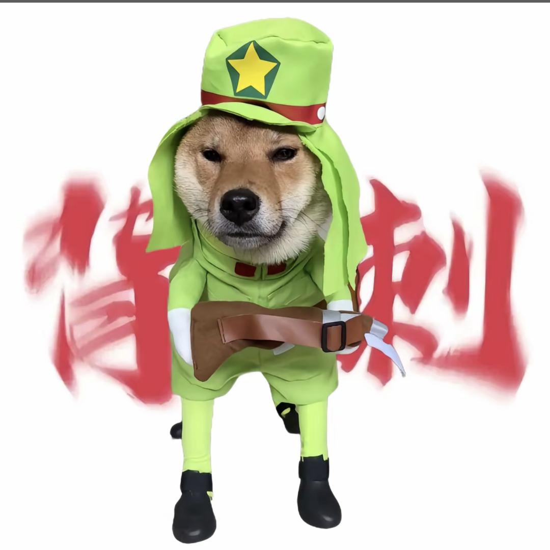 余额从不过百
