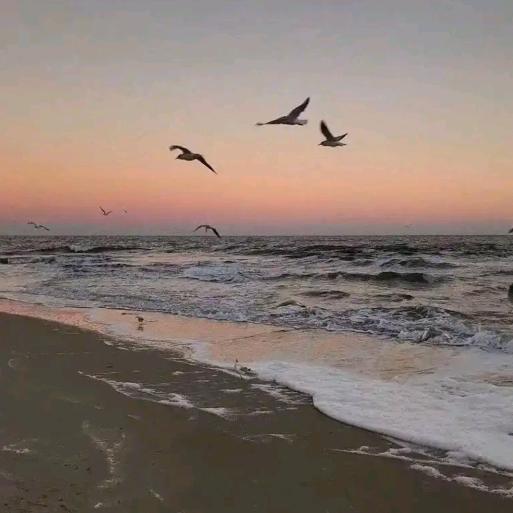 会泽县商峙网络科技工作室（个人独资）