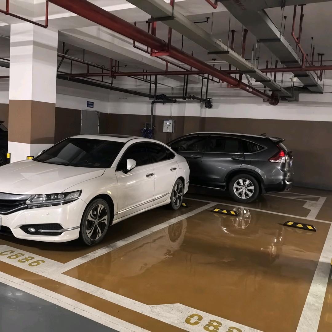 情不知所起一往而深