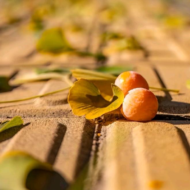 小馋哥【摄影版】