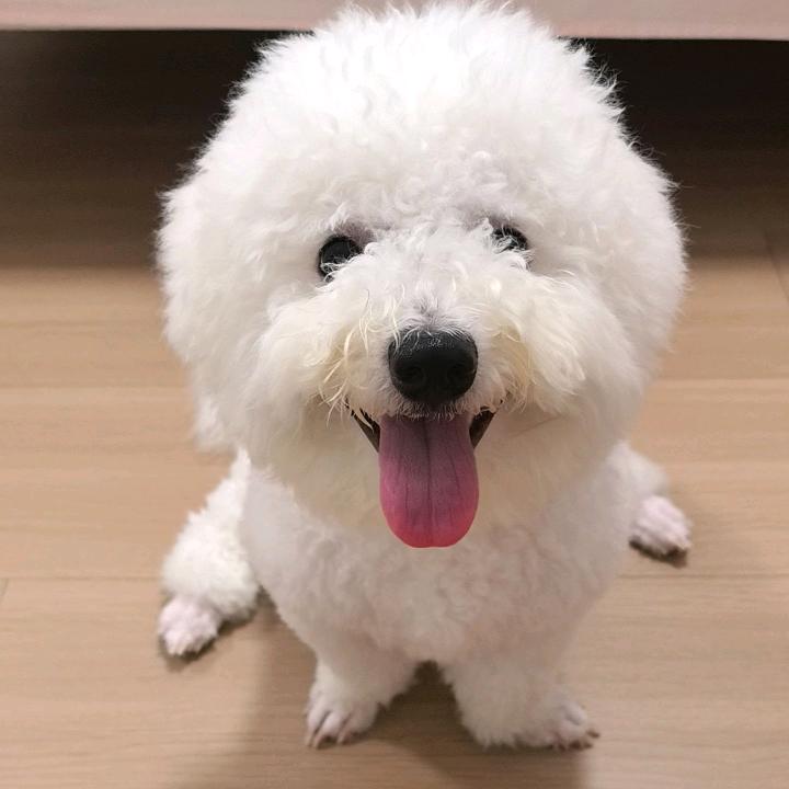 九月👸@福仔🐶