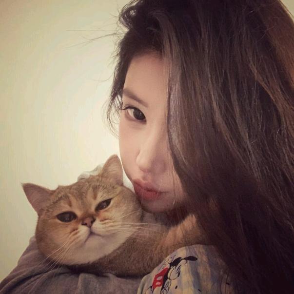 橘猫