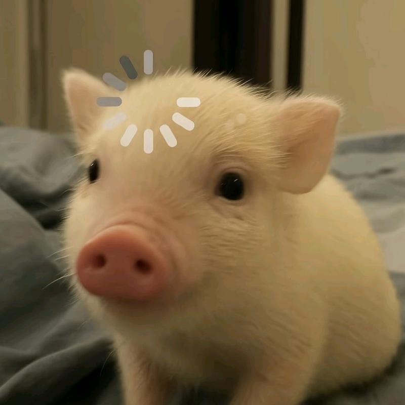 龙二